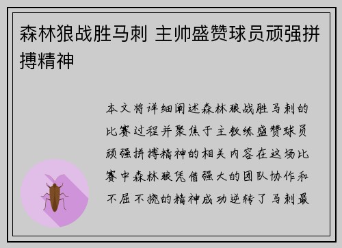 森林狼战胜马刺 主帅盛赞球员顽强拼搏精神